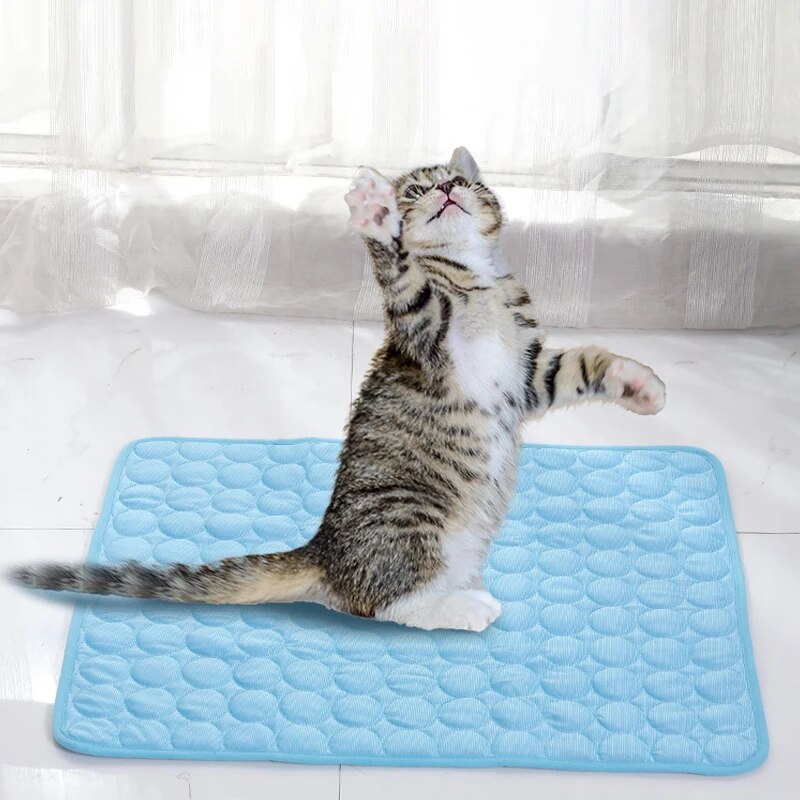 Pet Ice Mats Summer Cat Dog So - Cooling Blanket Hot Sleepers 评论和价格